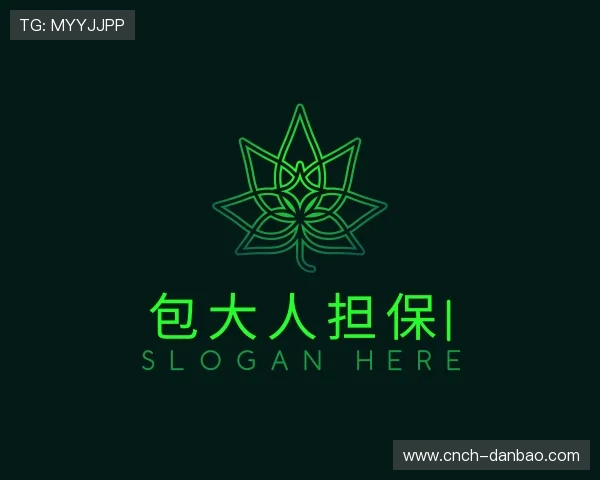 认识包大人担保官网